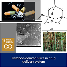 From bamboo to affordable drug delivery system