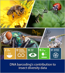 DNA barcoding's contribution to insect diversity data