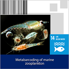 Metabarcoding zooplankton