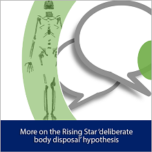 More on the Rising Star ‘deliberate body disposal’ hypothesis