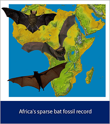 Africa's sparse bat fossil record