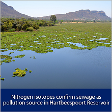 Nitrogen isotopes confirm sewage as pollution source in Hartbeespoort Reservoir
