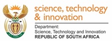 DSI South Africa logo